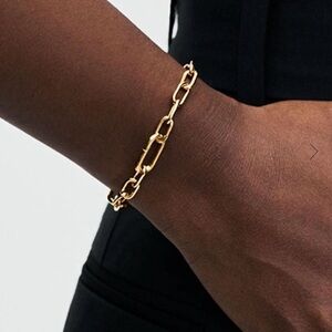 Pandora Gold Chain Bracelet